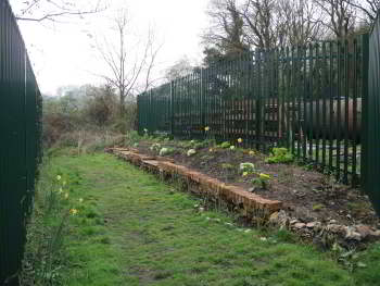 An earth bank filled with spring flowers can be seen between two green palisade fences.