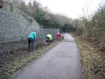 Vegetation clearance around New Pit